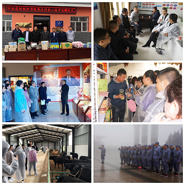 J9国际集团(中国)-官方网站