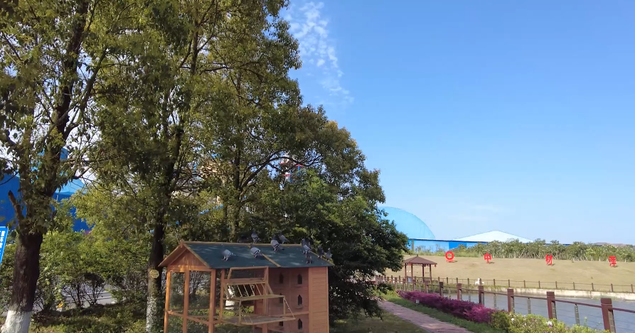 春来好时光，花圃工厂朝气勃勃