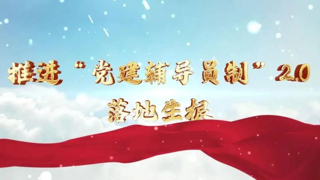  党建经营融合十佳案例④ | 西南水泥——“领导员造”+“进建型组织”，让党建成为看得见的“出产力” 