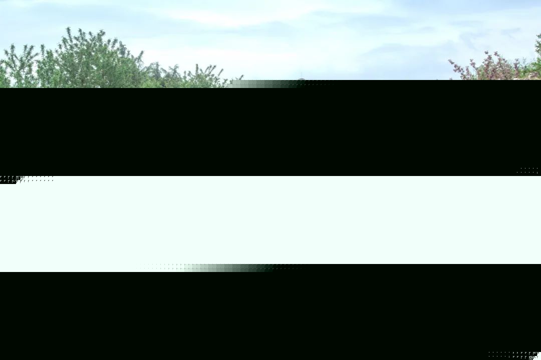 2021042809260036679