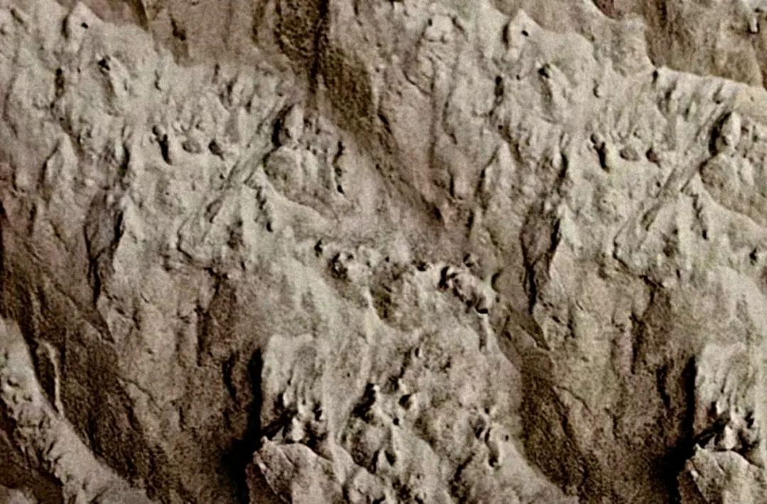 2023112010404488405