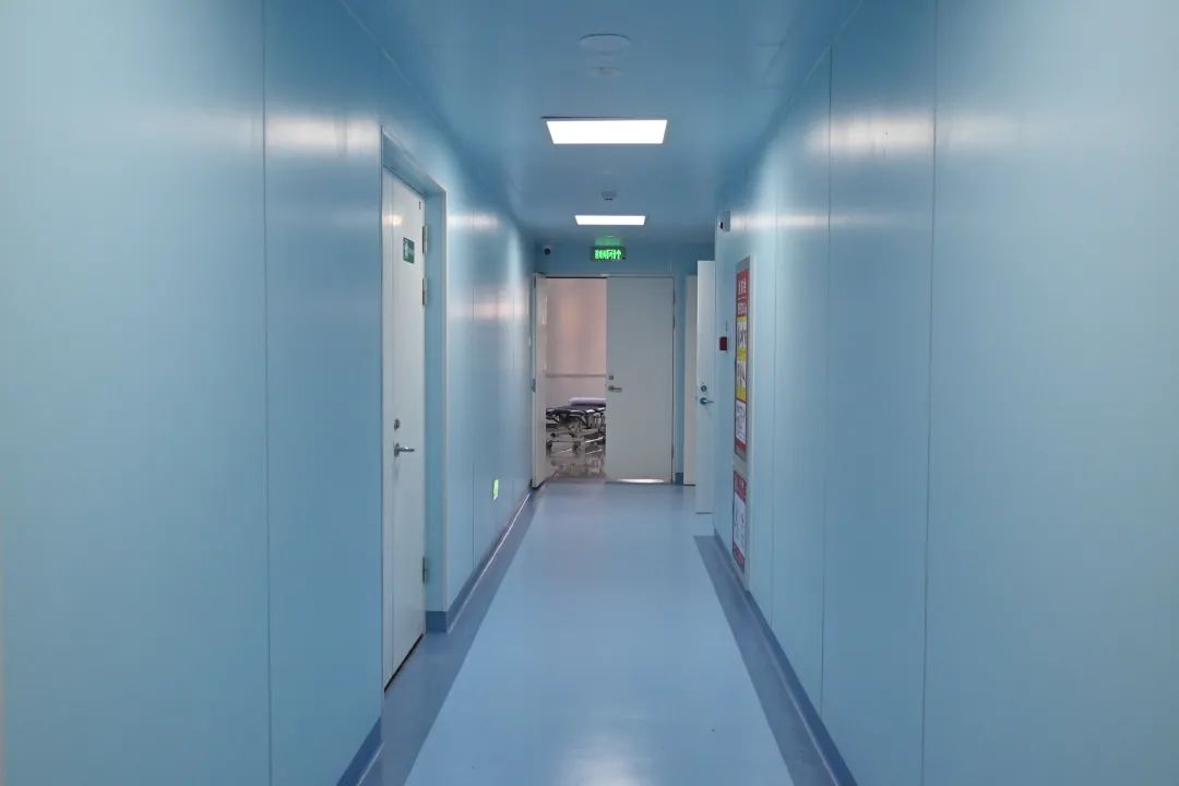 2025033110081412893